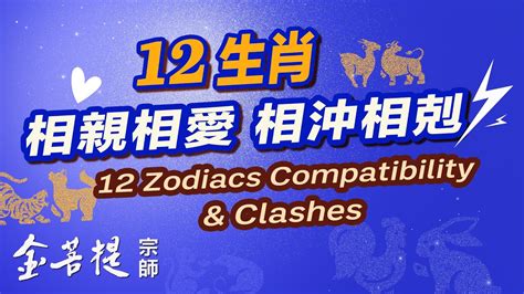 生肖相剋|最全12生肖三合、六合、相衝、相害詳細講解！（上）。